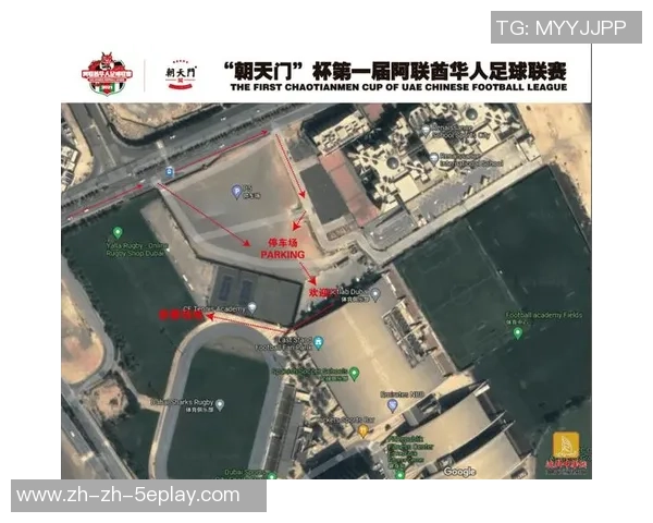 阿联酋足球联赛吸引众多国际明星签约的背后故事与影响分析